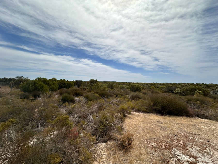 0 Bedroom Property for Sale in Hartebeesfontein Western Cape